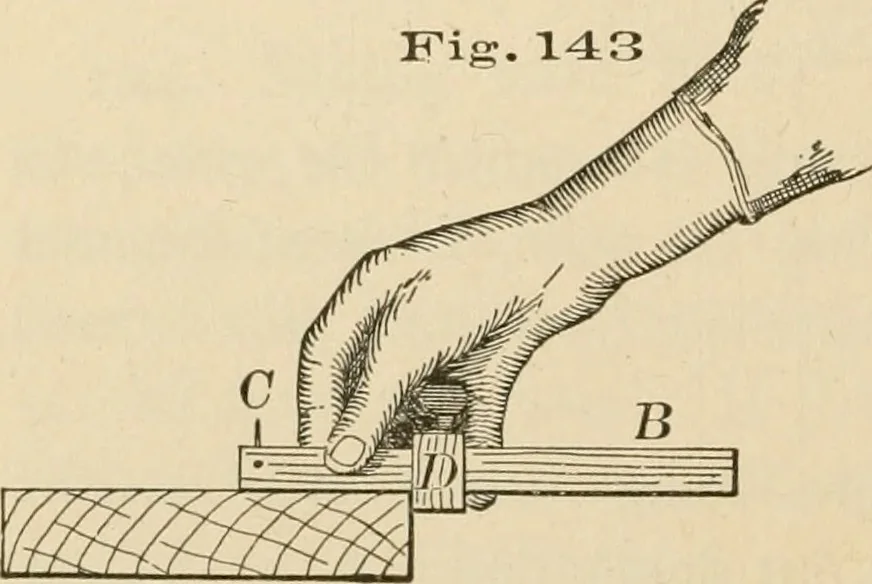 An illustration from Bench work in wood; a course of study and practice designed for the use of schools and colleges, 1905, leaf 97