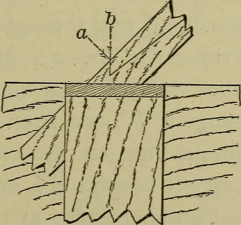 An illustration from Bench work in wood: a course of study and practice designed for the use of schools and colleges, 1902, leaf 118