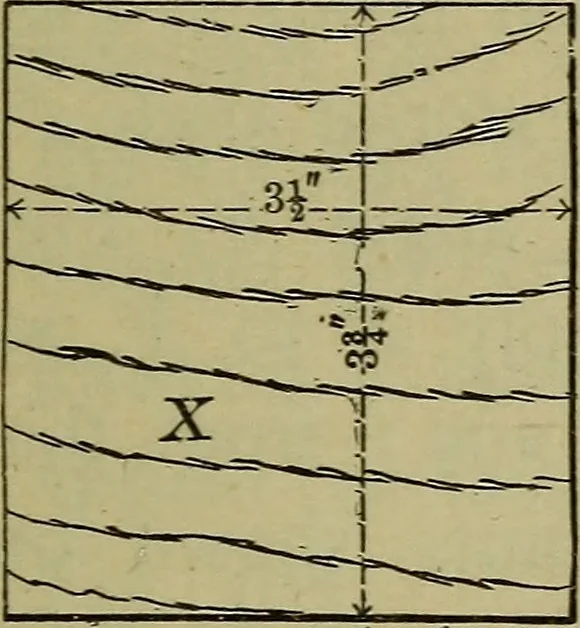 An illustration from Bench work in wood: a course of study and practice designed for the use of schools and colleges, 1902, leaf 130