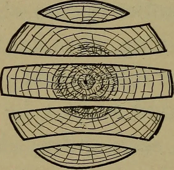 An illustration from Bench work in wood: a course of study and practice designed for the use of schools and colleges, 1902, leaf 143