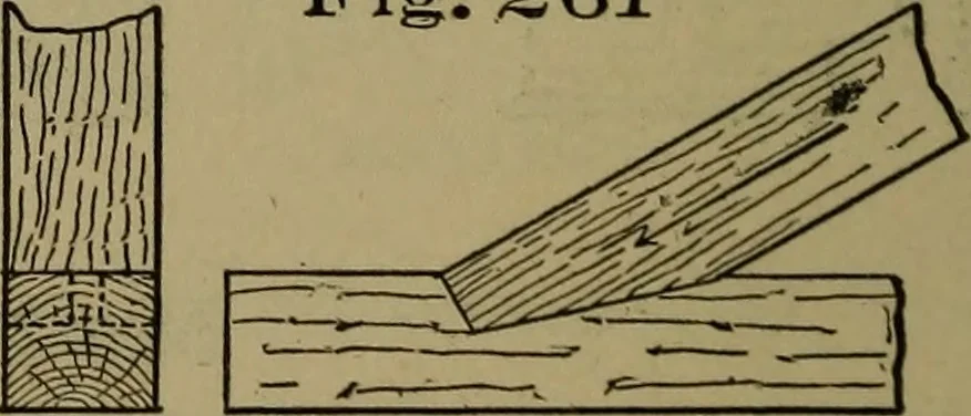 An illustration from Bench work in wood: a course of study and practice designed for the use of schools and colleges, 1902, leaf 155