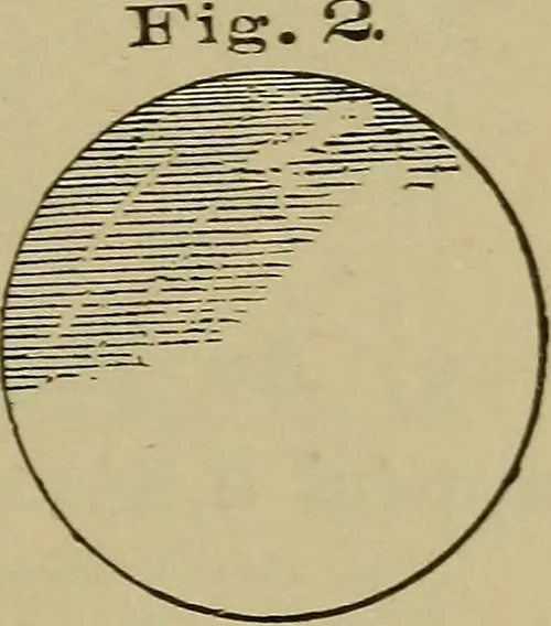 An illustration from Bench work in wood: a course of study and practice designed for the use of schools and colleges, 1902, leaf 16