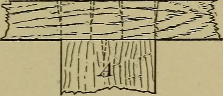 An illustration from Bench work in wood: a course of study and practice designed for the use of schools and colleges, 1902, leaf 166