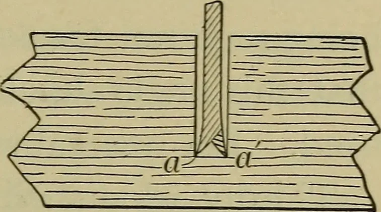 An illustration from Bench work in wood: a course of study and practice designed for the use of schools and colleges, 1902, leaf 48