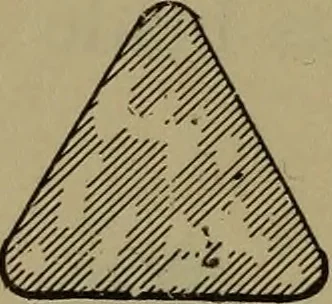 An illustration from Bench work in wood: a course of study and practice designed for the use of schools and colleges, 1902, leaf 51