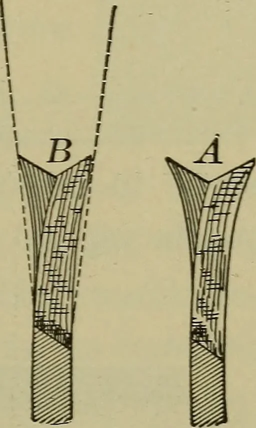 An illustration from Bench work in wood: a course of study and practice designed for the use of schools and colleges, 1902, leaf 56