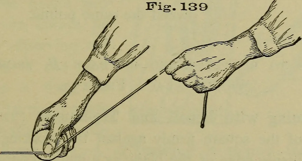An illustration from Bench work in wood: a course of study and practice designed for the use of schools and colleges, 1902, leaf 90