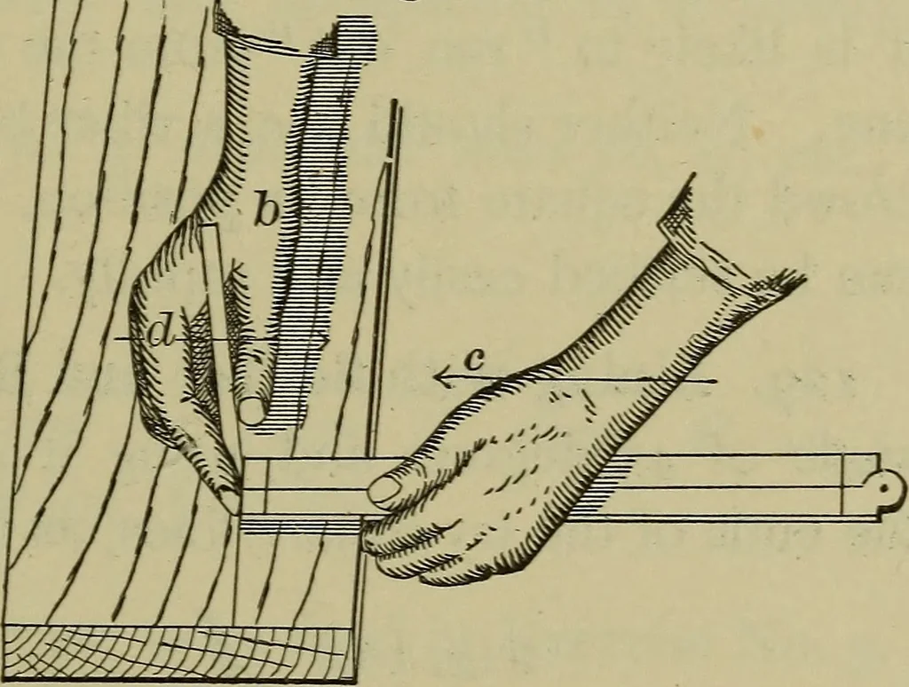 An illustration from Bench work in wood: a course of study and practice designed for the use of schools and colleges, 1902, leaf 92