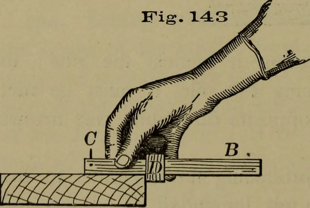 An illustration from Bench work in wood: a course of study and practice designed for the use of schools and colleges, 1902, leaf 93