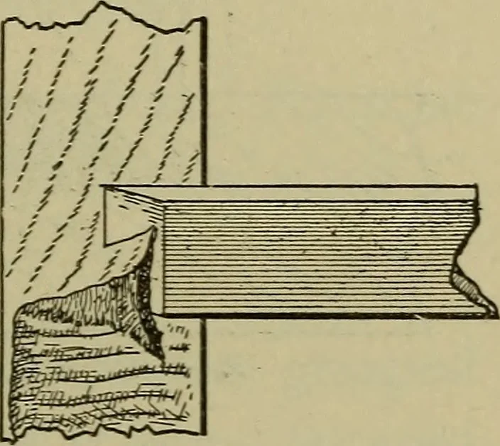 An illustration from Bench work in wood: a course of study and practice designed for the use of schools and colleges, 1902, leaf 96