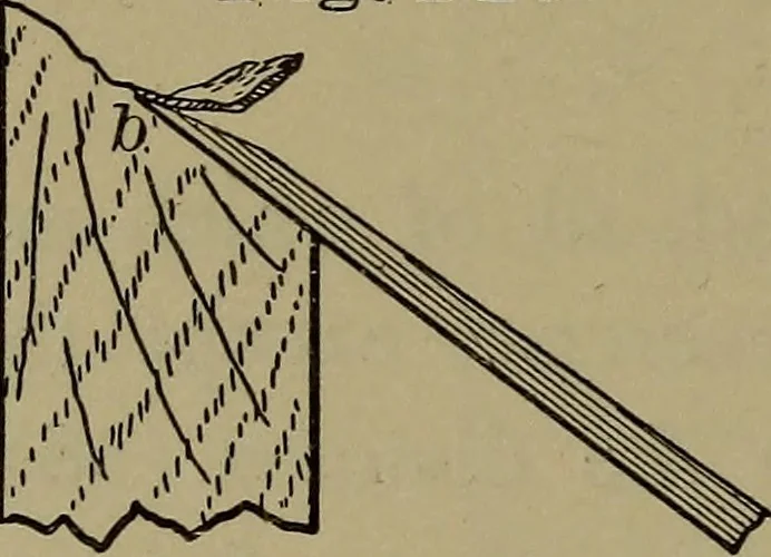 An illustration from Bench work in wood: a course of study and practice designed for the use of schools and colleges, 1902, leaf 97