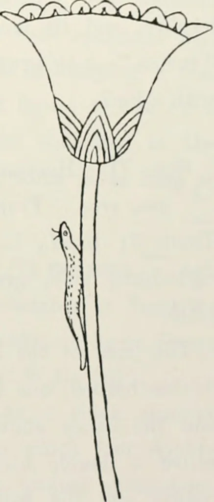 An illustration from Beni Hasan, 1893, leaf 32