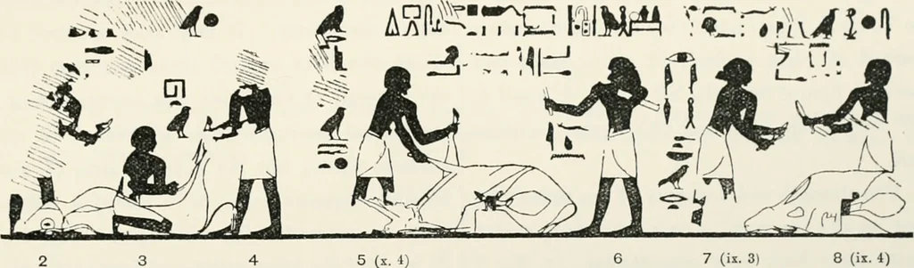 An illustration from Beni Hasan, 1893, leaf 46