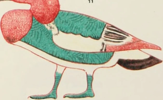 An illustration from Beni Hasan, 1893, leaf 52