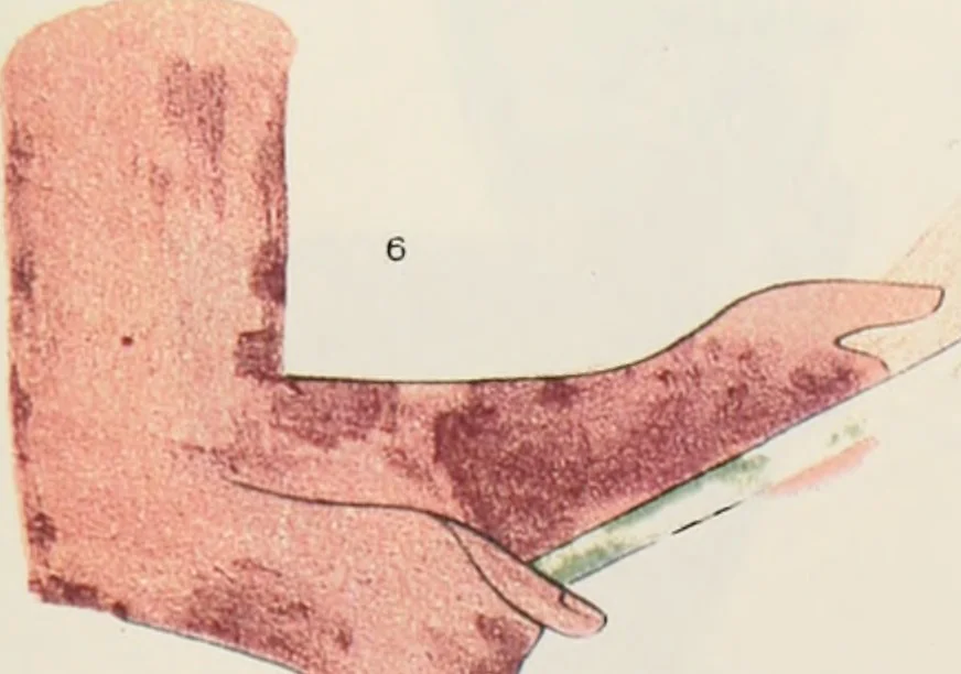 An illustration from Beni Hasan, 1893, leaf 66