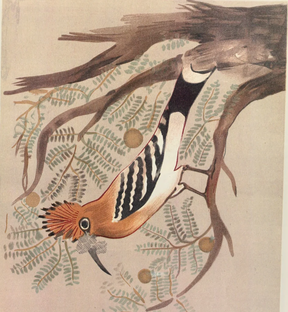 An illustration from Beni Hasan, 1893, leaf 30