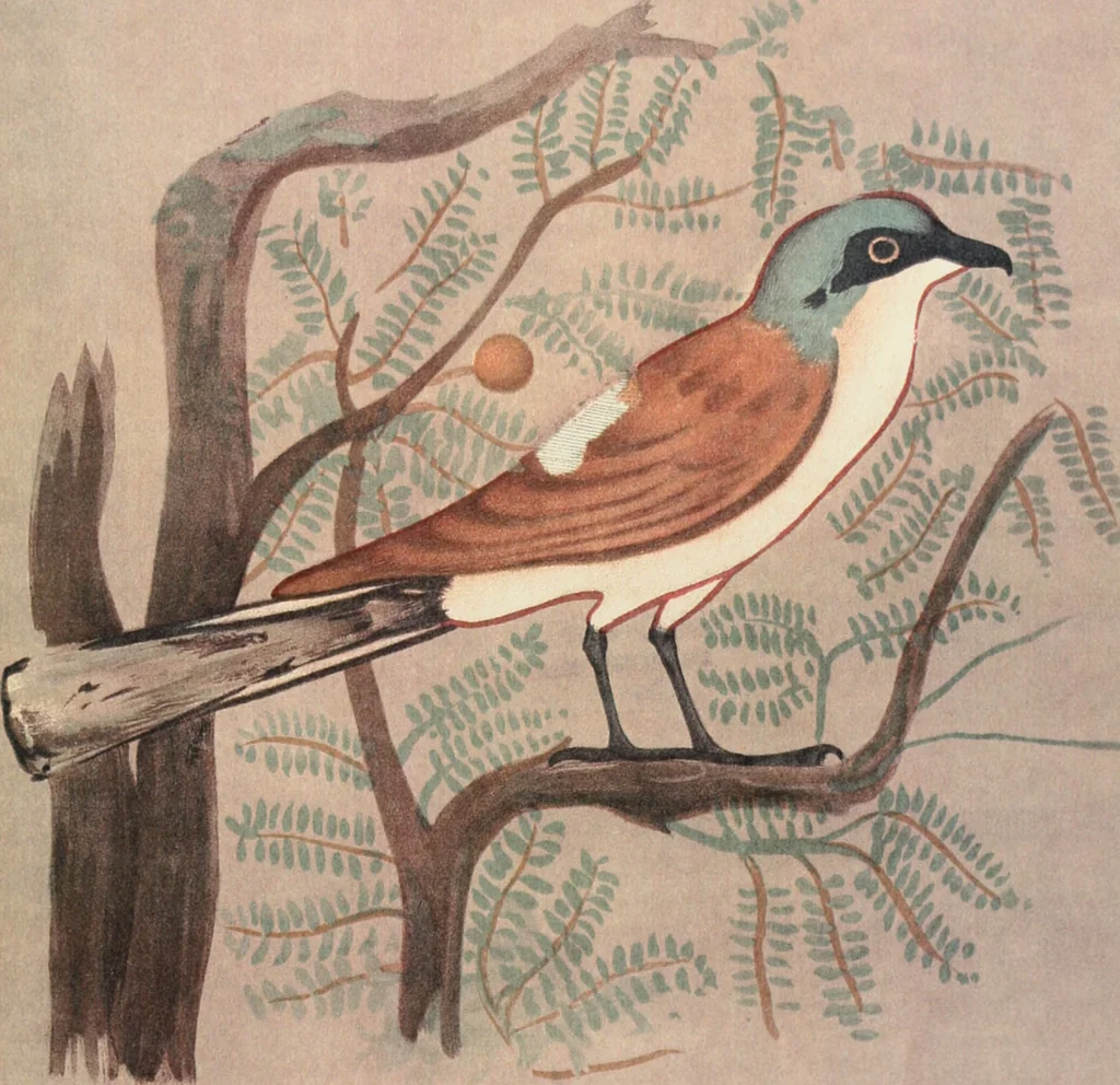 An illustration from Beni Hasan, 1893, leaf 32