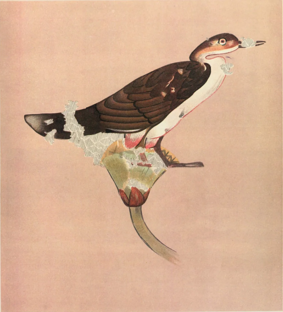 An illustration from Beni Hasan, 1893, leaf 40