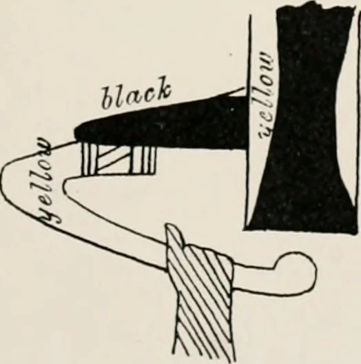 An illustration from Beni Hasan, 1893, leaf 70