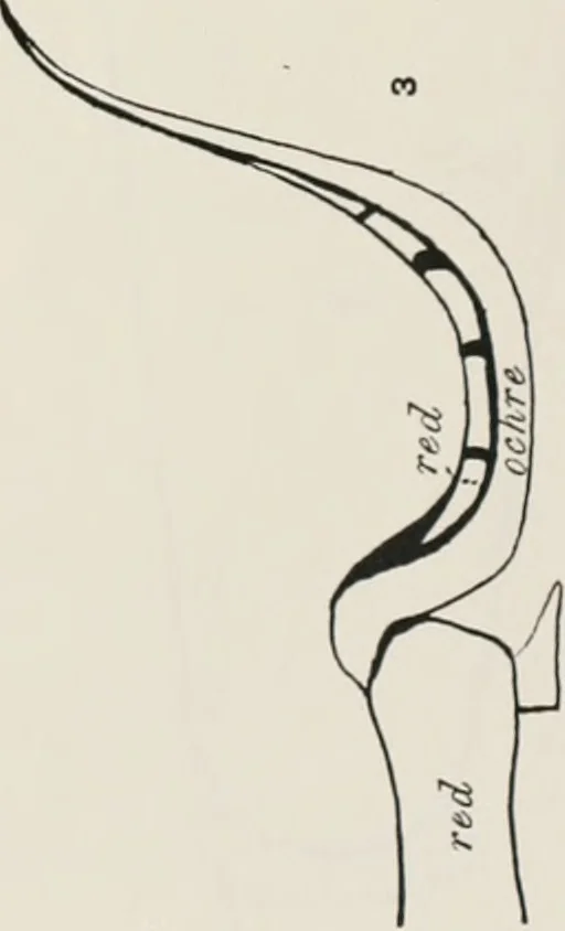 An illustration from Beni Hasan, 1893, leaf 70