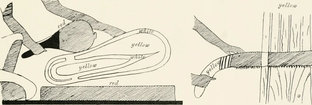 An illustration from Beni Hasan, 1893, leaf 74