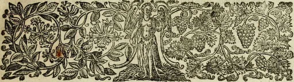 An illustration from Bentivolio and Urania : in six books, 1673, leaf 16