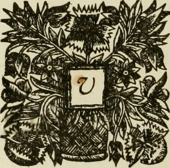 An illustration from Bentivolio and Urania : in six books, 1673, leaf 57