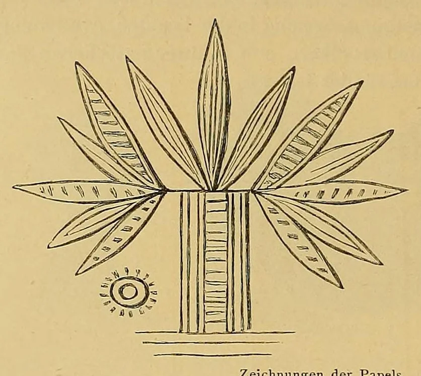 An illustration from Über die Capverden nach dem Rio Grande und Futah-Djallon. Reiseskizzen aus Nord-West Afrika, 1884, leaf 214