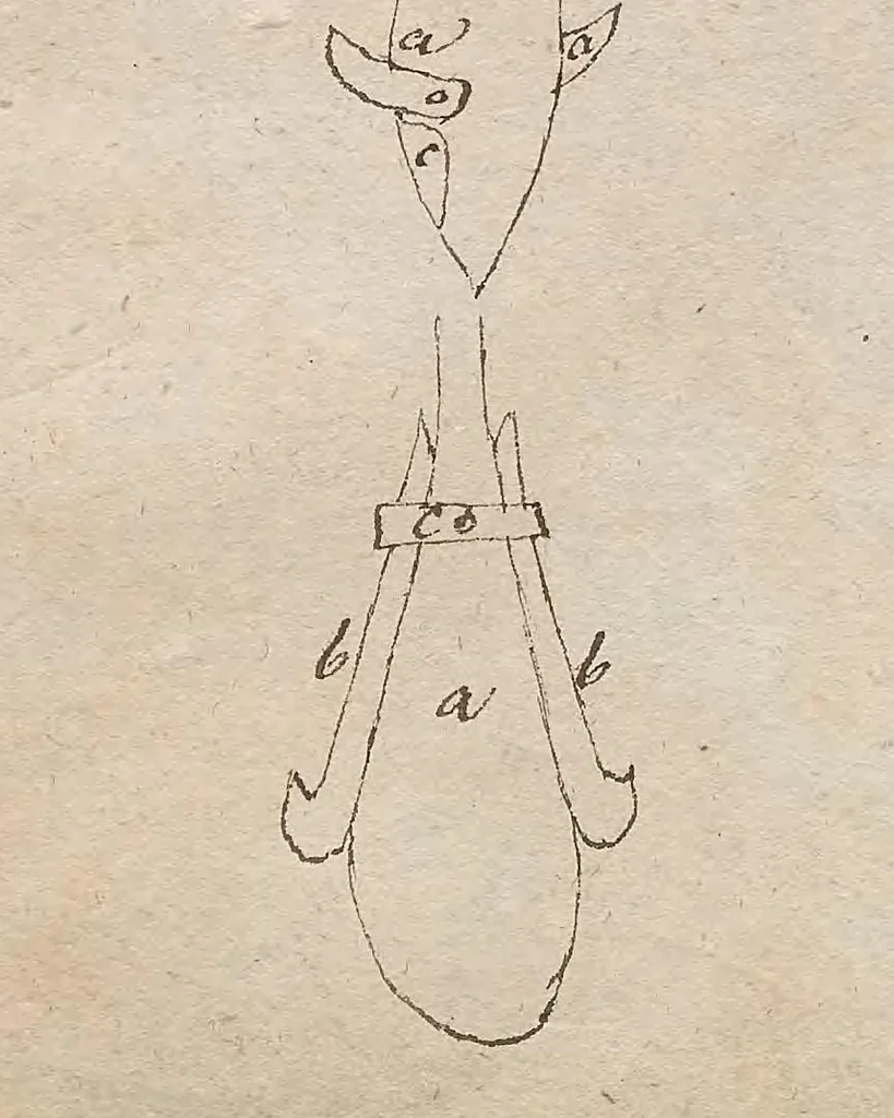 An illustration from Bergbaukunst, 1834, leaf 35