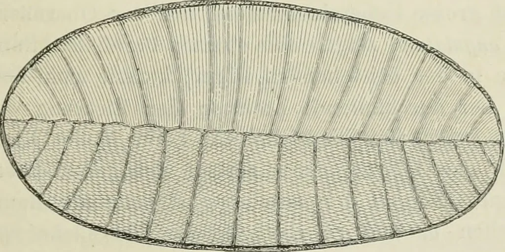An illustration from Bericht über die Welt-Ausstellung zu Paris im Jahre 1867, 1867, leaf 744