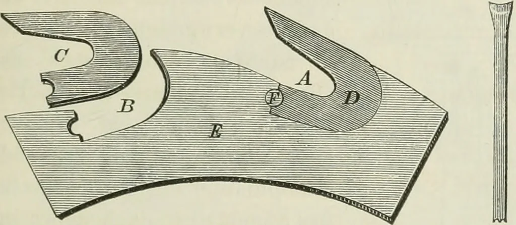An illustration from Bericht über die Welt-Ausstellung zu Paris im Jahre 1867, 1867, leaf 260