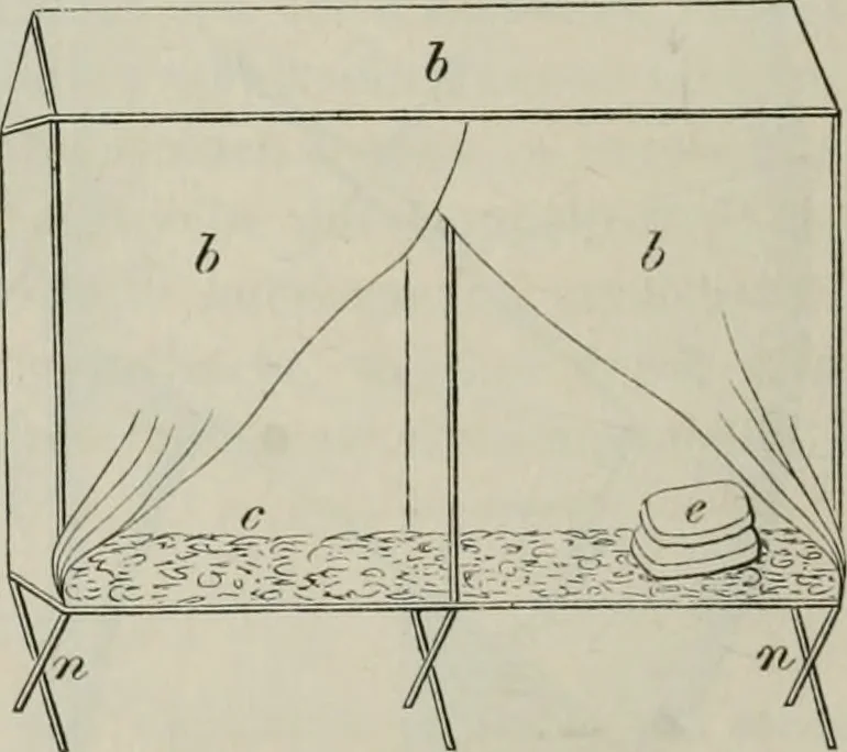An illustration from Bericht über die Welt-Ausstellung zu Paris im Jahre 1867, 1867, leaf 759