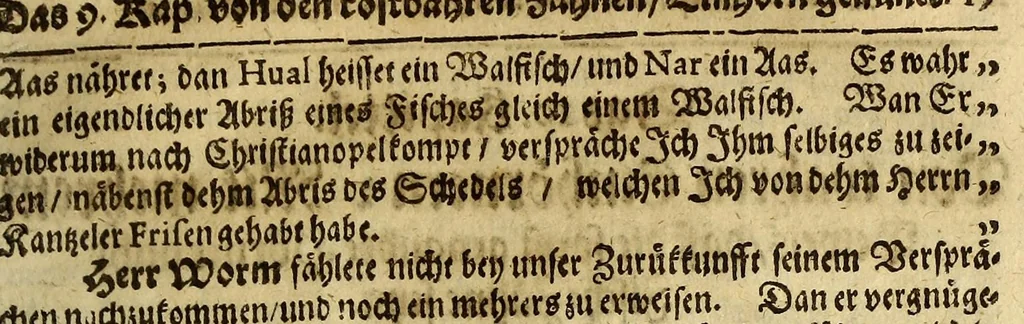 An illustration from Bericht von Gröhnland, gezogen aus zwo Chroniken : einer alten ihslandischen, und einer neuen dänischen; übergesand in frantzösischer Sprahche an Herren von der Mote den Wayer von einem unbenandten Meister, und gedruckt zu Parihs bey Augustin Kürbe in s. anno 1647. Jetzo aber deutsch gegäben, und, um desto färtiger ihn zu gebrauchen, unterschihdlich eingeteihlet, 1674, leaf 33