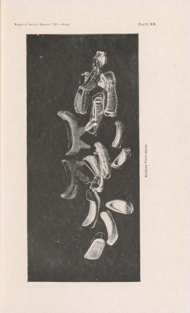 An illustration from The Bernadou, Allen and Jony Corean collections in the United States National Museum, 1893, leaf 101