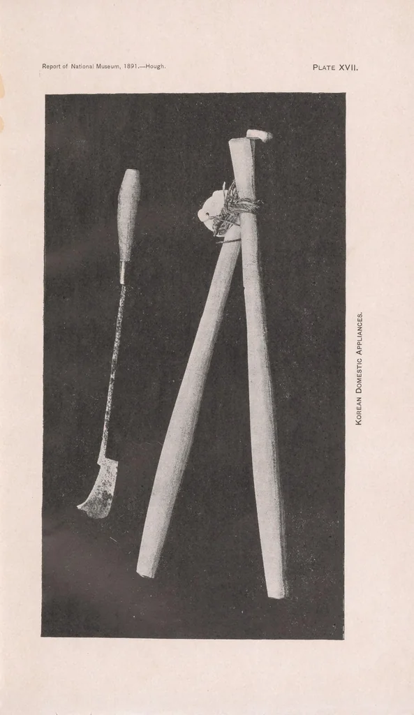 An illustration from The Bernadou, Allen and Jony Corean collections in the United States National Museum, 1893, leaf 83
