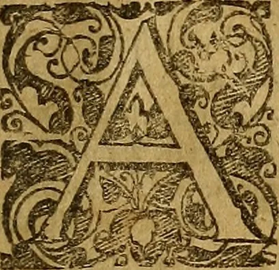 An illustration from [Bernardi Morisani ... In Aristotelis Logicam, Physicam, Ethicam, Apotelesma ...], 1625, leaf 28