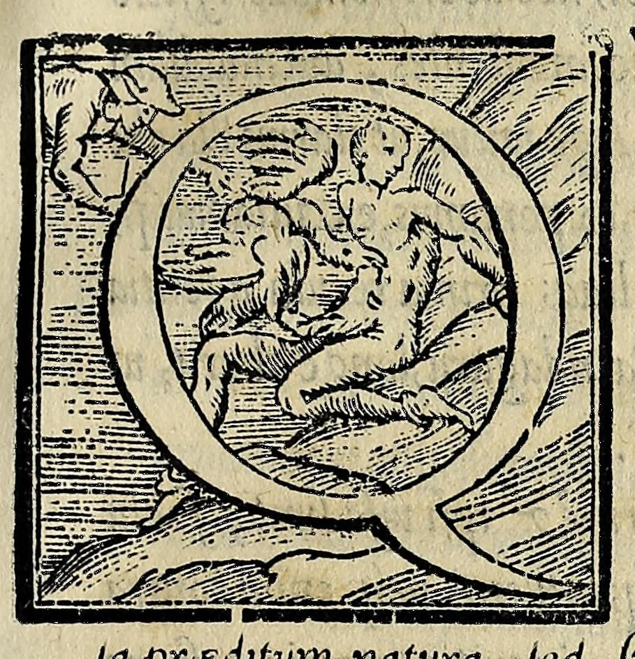 An illustration from Bernardini Telesii Consentini De natura iuxta propria principia liber primus et secundus, 1565, leaf 83