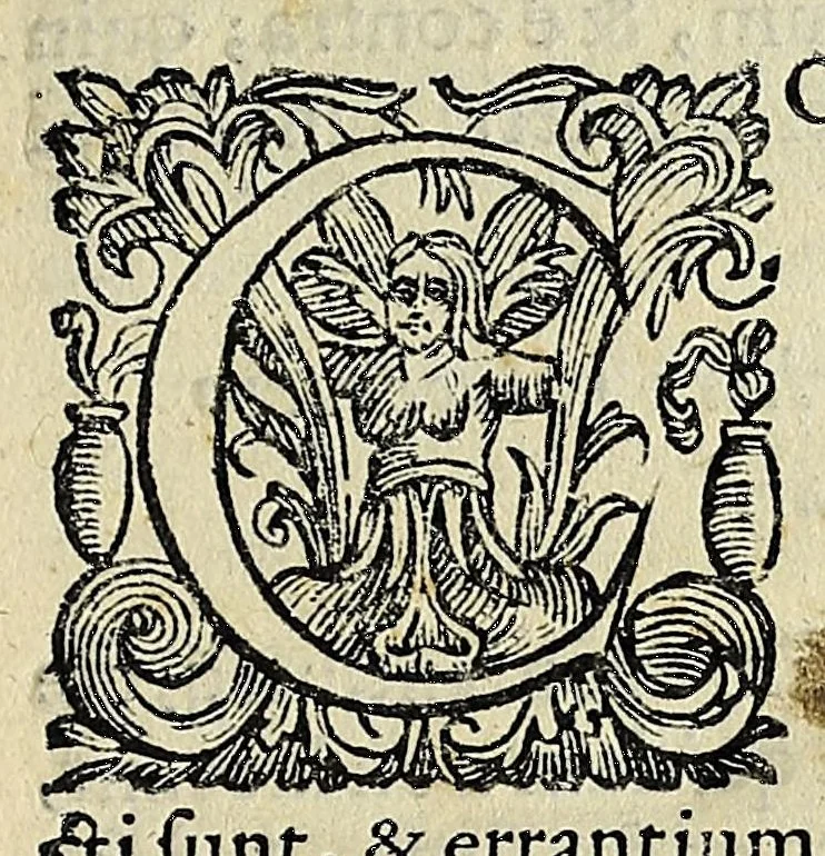 An illustration from Bernardini Telesii Consentini, Varii de naturalibus rebus libelli, 1590, leaf 13