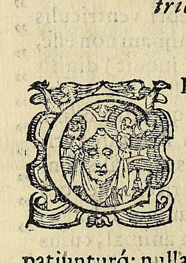 An illustration from Bernardini Telesii Consentini, Varii de naturalibus rebus libelli, 1590, leaf 152