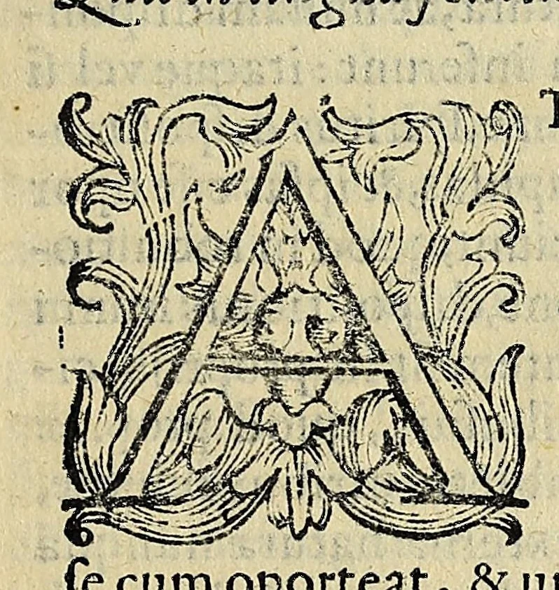 An illustration from Bernardini Telesii Consentini, Varii de naturalibus rebus libelli, 1590, leaf 285