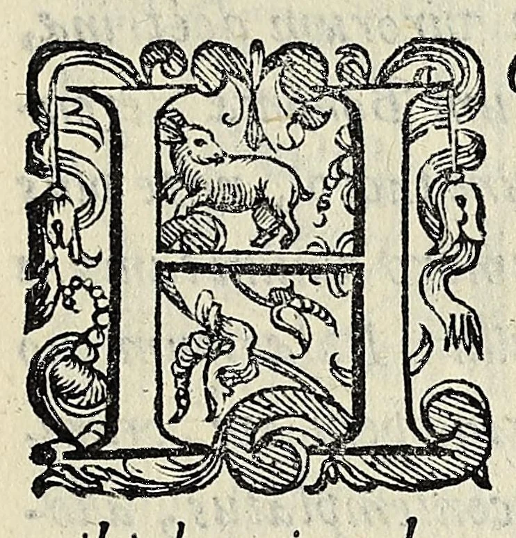 An illustration from Bernardini Telesii Consentini, Varii de naturalibus rebus libelli, 1590, leaf 311