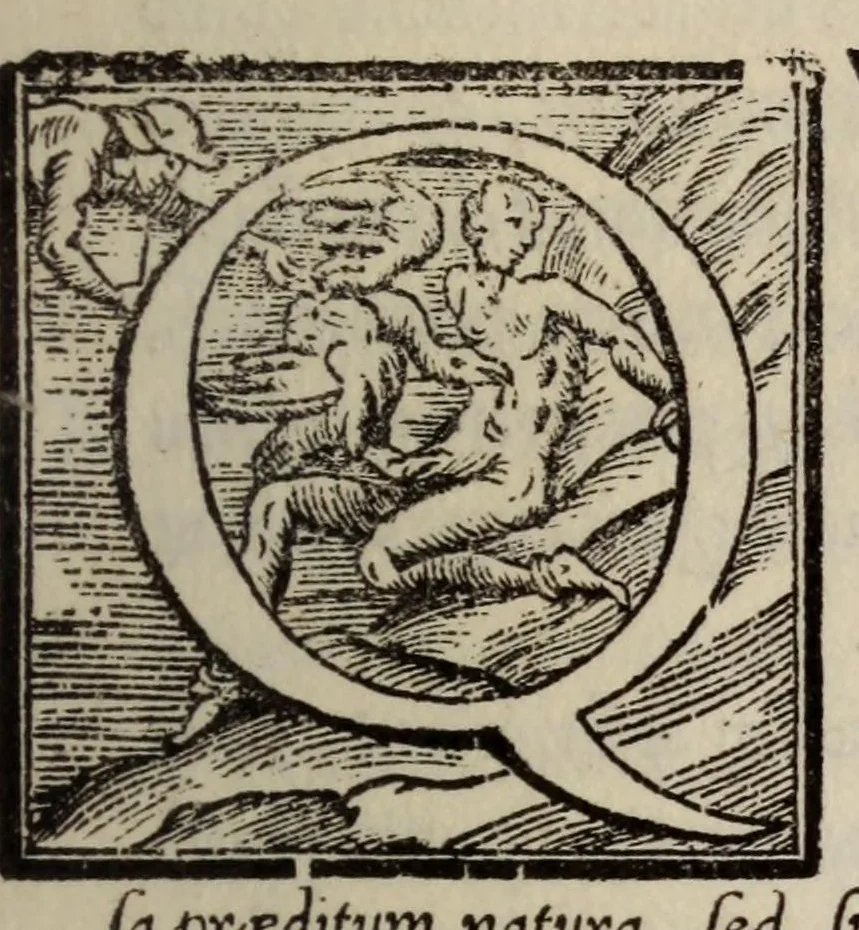 An illustration from Bernardini Telesii ... De natvra ivxta propria principia liber primvs, et secvndvs, 1565, leaf 83