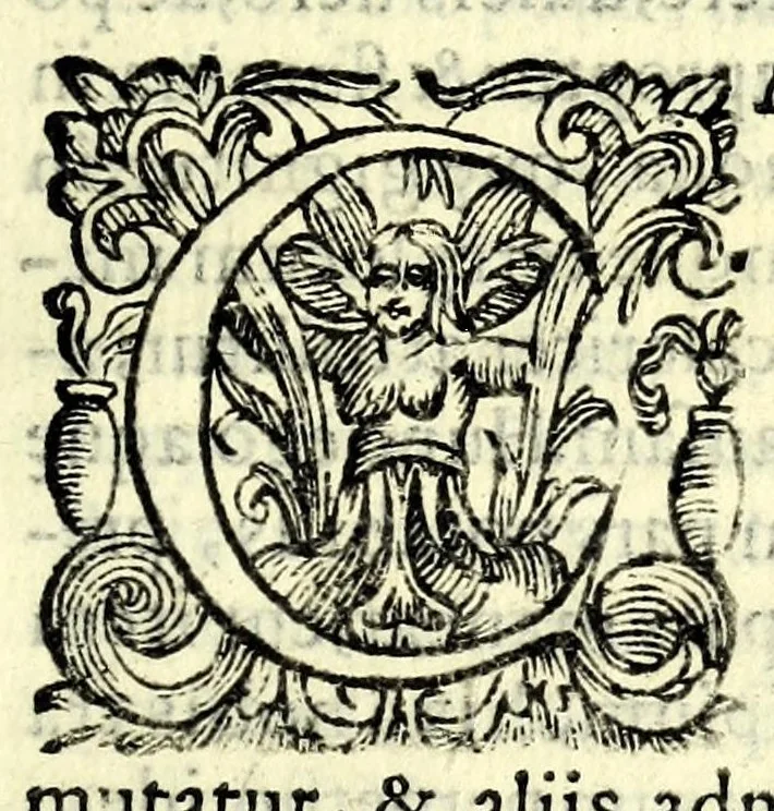 An illustration from Bernardini Telesii Consentini Varii de naturalibus rebus libelli, 1590, leaf 115