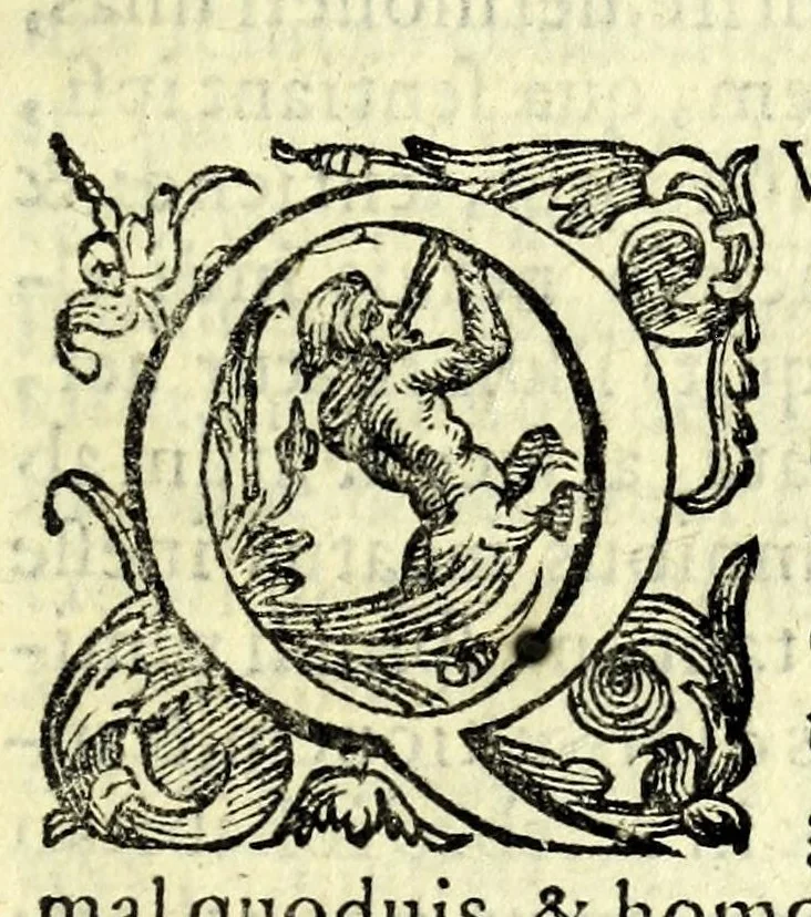 An illustration from Bernardini Telesii Consentini Varii de naturalibus rebus libelli, 1590, leaf 151