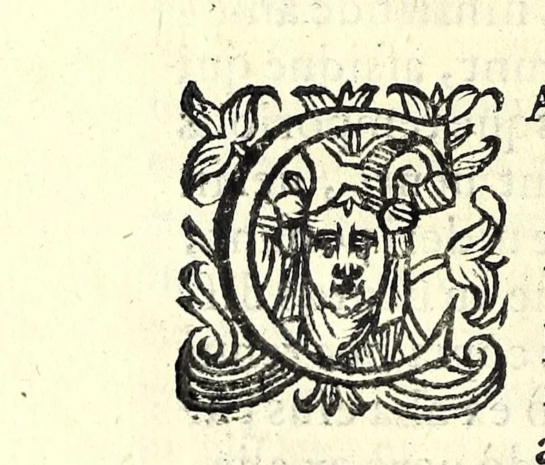 An illustration from Bernardini Telesii Consentini Varii de naturalibus rebus libelli, 1590, leaf 48