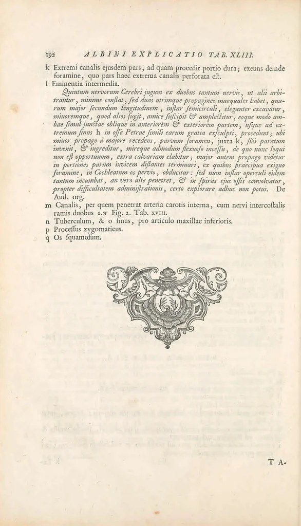 An illustration from Bernardi Siegfried Albini ... Explicatio tabularum anatomicarum Bartholomaei Eustachii ... Accedit tabularum editio nova, 1744, leaf 380