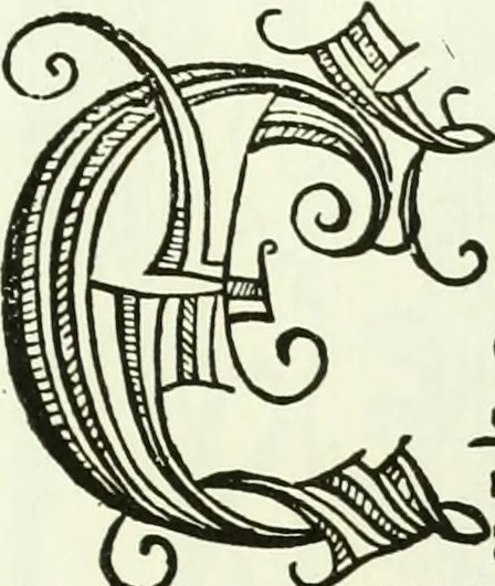 An illustration from Bernhard von Breydenbach and his journey to the Holy Land 1483-4 : a bibliography, 1911, leaf 102
