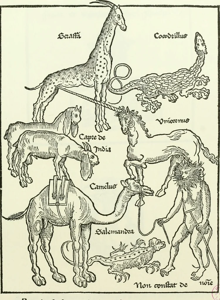 An illustration from Bernhard von Breydenbach and his journey to the Holy Land 1483-4 : a bibliography, 1911, leaf 174