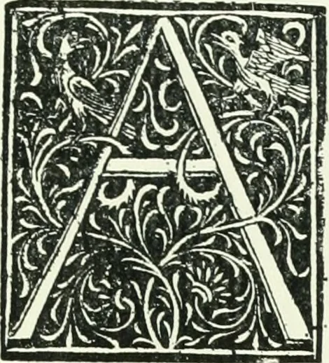 An illustration from Bernhard von Breydenbach and his journey to the Holy Land 1483-4 : a bibliography, 1911, leaf 178
