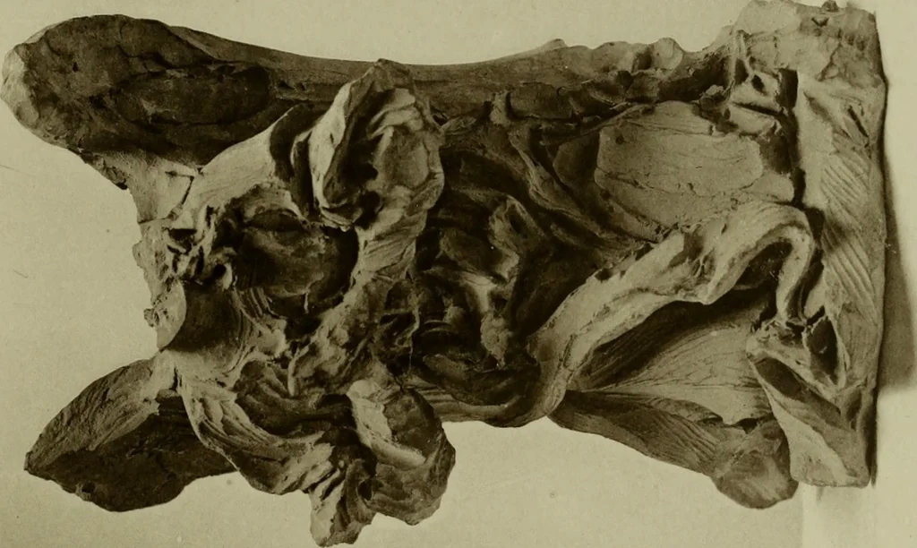 An illustration from Bernini and other studies in the history of art, 1914, leaf 100
